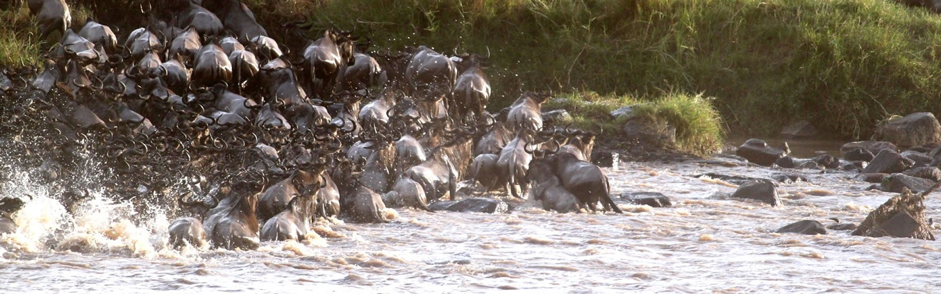 3 Days Tanzania Serengeti Safari